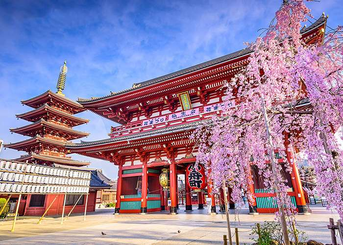 Bí mật chùa sensoji Asakusa Kannon ngôi chùa cổ nhất Tokyo