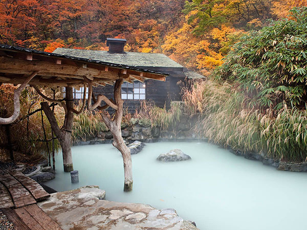 Onsen là gì? những quy tắc thú vị khi tắm Onsen Nhật Bản