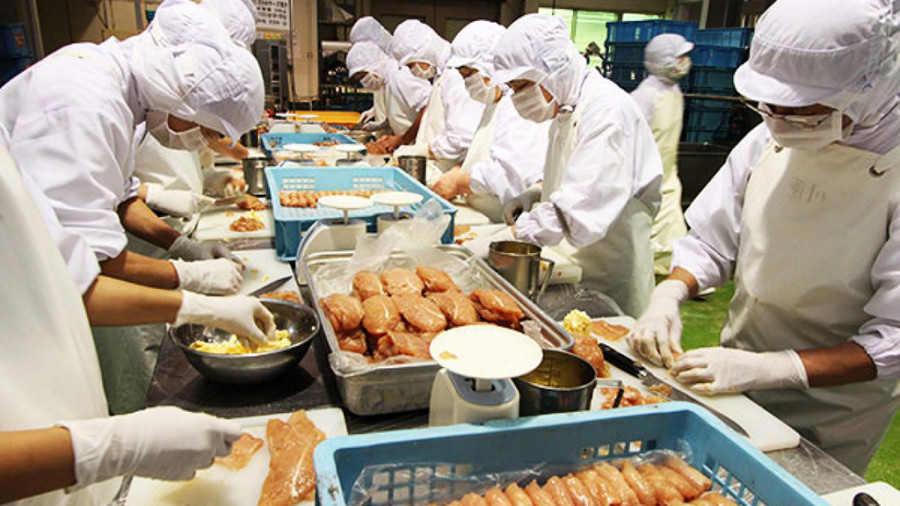 Đơn hàng cơm hộp Nhật Bản là gì
